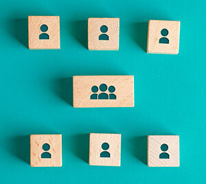 dinamicas de grupo seleccion