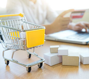 Venta Online eCommerce