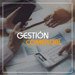 Gestión Comercial