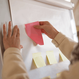 Iniciación al Project Management (I): Marco Conceptual